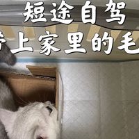 奇思妙想改造太空箱，带小猫咪回老家不愁路途遥