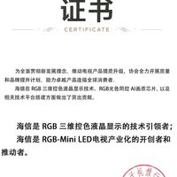 中国电子视像协会认证：海信为RGB-MiniLED显示技术引领者与产业开创者