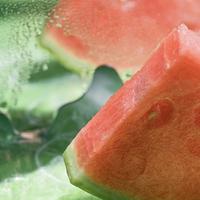 智能养生新势力：脆皮年轻人用黑科技解锁三伏天硬核养生攻略