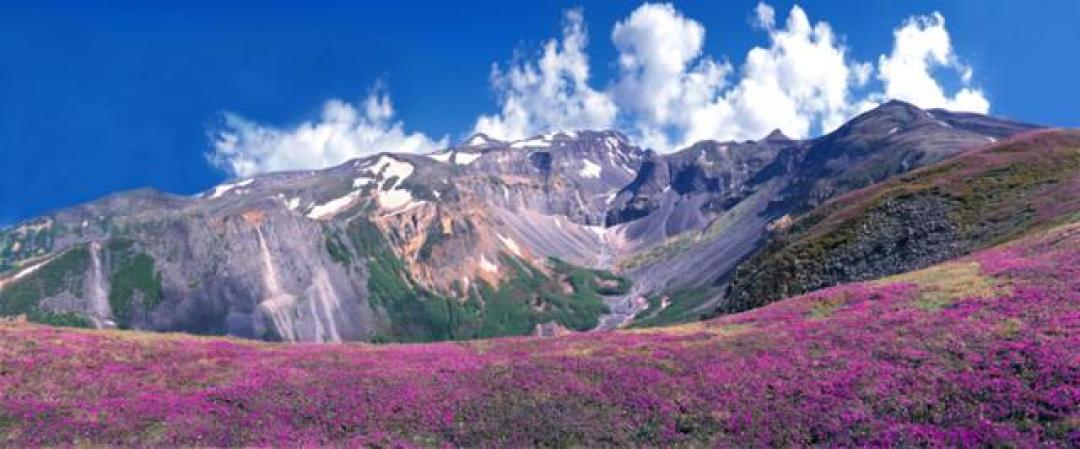 长白山迎避暑热潮:高铁四小时探秘22℃森林氧吧与天池秘境
