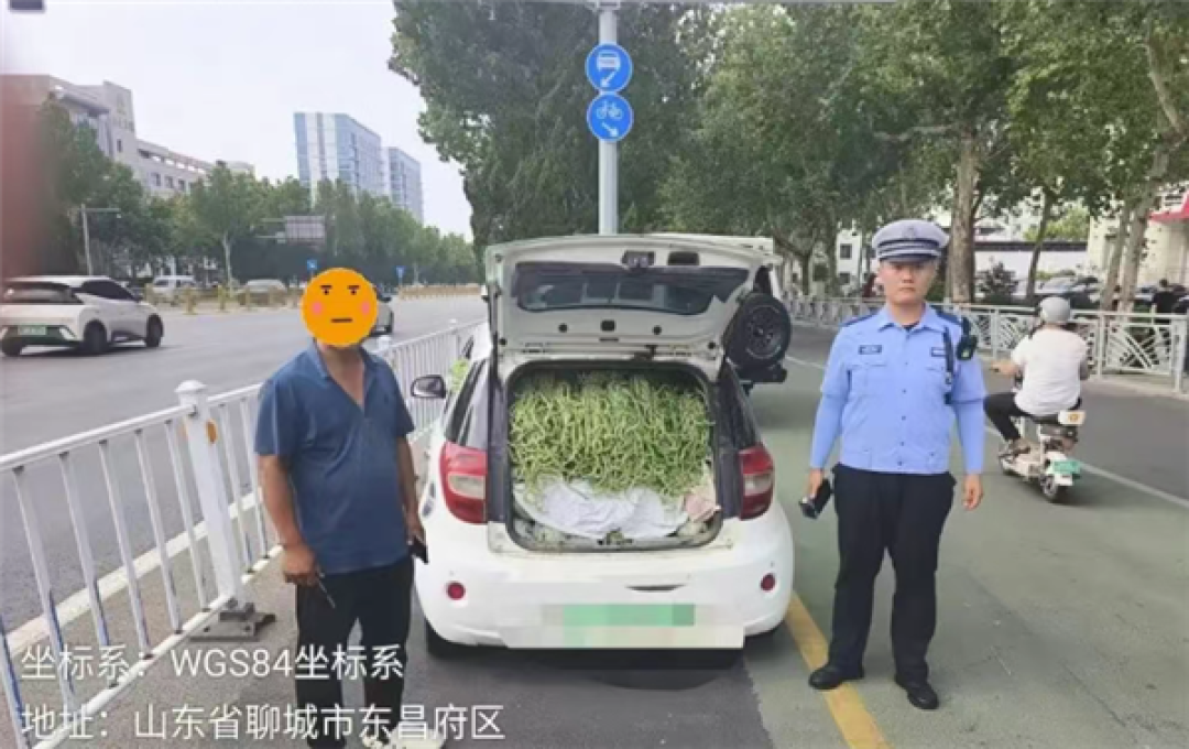 山东“豆橛子”又爆仓了 A00级小汽车塞满豆角 轮胎都压瘪了