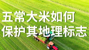 五常大米如何保护其地理标志