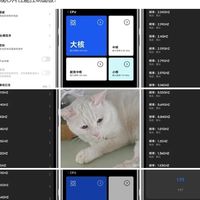 小米15S Pro内测芯片性能面板，支持手动调节频率电压