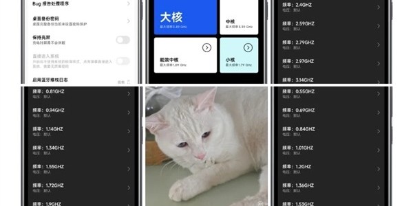 小米15S Pro内测芯片性能面板，支持手动调节频率电压