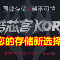 电脑存储产品市场“新鲶鱼”酷芯客KORX推出高性价比DDR4内存条