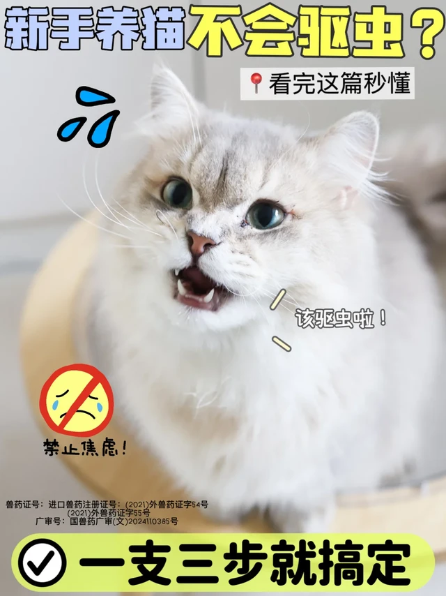 猫咪驱虫真的超简单，一支三步就搞定