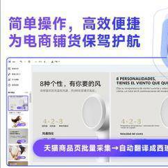 8 款跨境视频翻译利器，让电商翻译不再愁！风车 AI 翻译首推