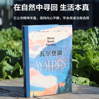 夏日清凉书单：哲思与自然，书香解暑，自带凉意的好书推荐。