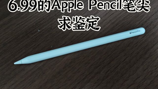 6.99的Apple Pencil笔头求鉴定