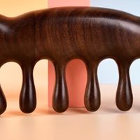 梳头：开启身体与自然和谐共生的养生密钥