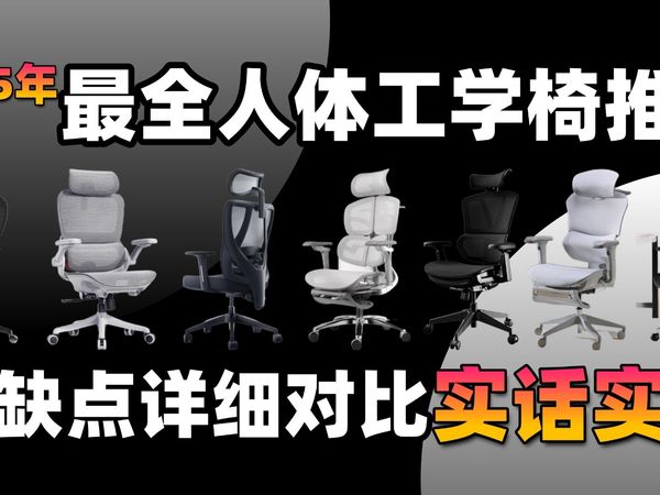 【人体工学椅推荐】真能久坐腰不痛?2025 最新百元人体工学椅来了，内含全价位高性 价比电竞椅/电脑椅/京东京造中pro/自由家/ /西昊/网易严选小蛮腰/