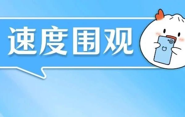 价格暴涨！下个月还要涨！网友：比黄金还猛