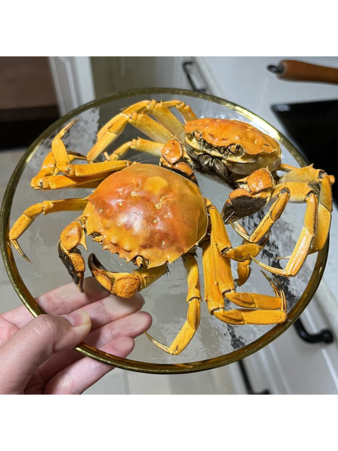 湖鲜阳澄蟹类