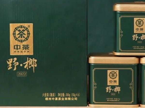 【野·榔2022】六堡槟榔香，中茶野榔味