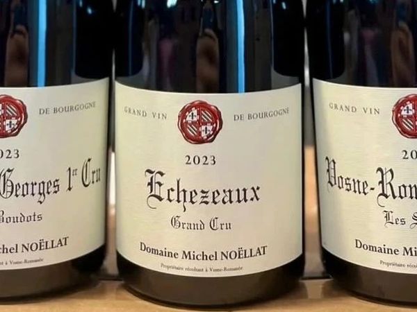 Domaine Michel Noëllat：勃艮第隐形豪门｜Jayer的启蒙者&Leroy的风土基因库