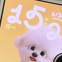 Xiaomi MIX Flip2：拍照戳中我，但买折叠屏还看这些

 