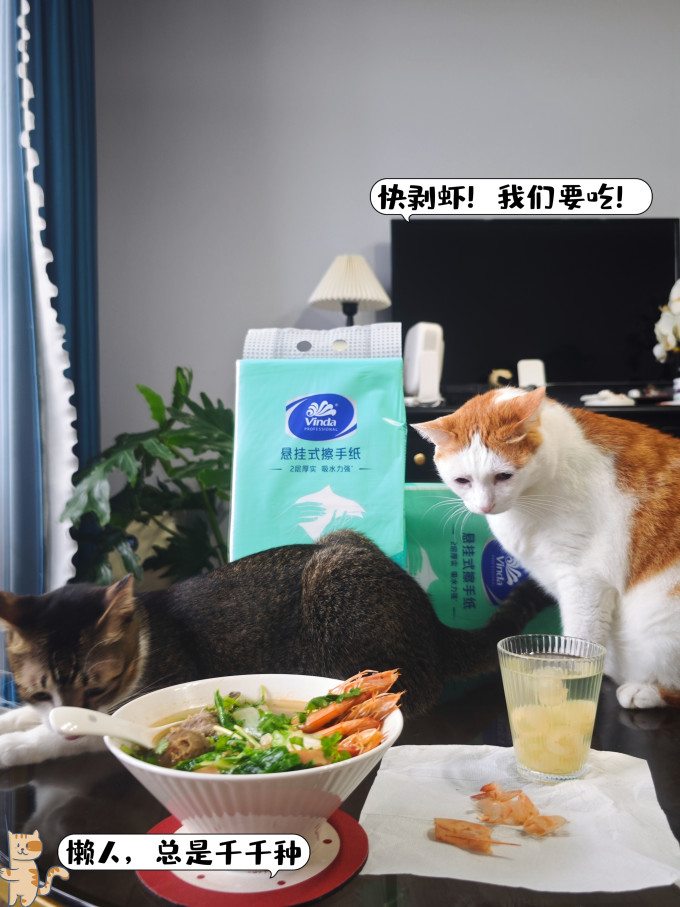 纸品湿巾