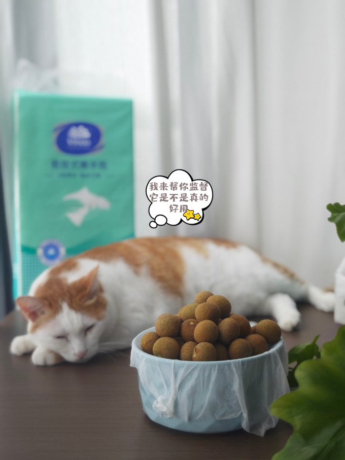 纸品湿巾