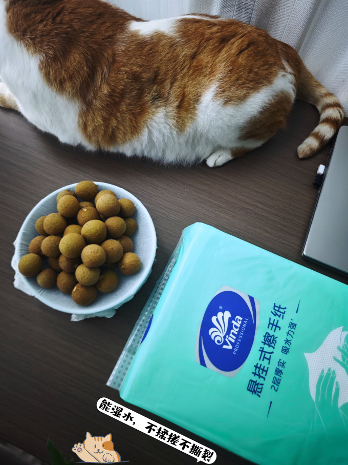 纸品湿巾