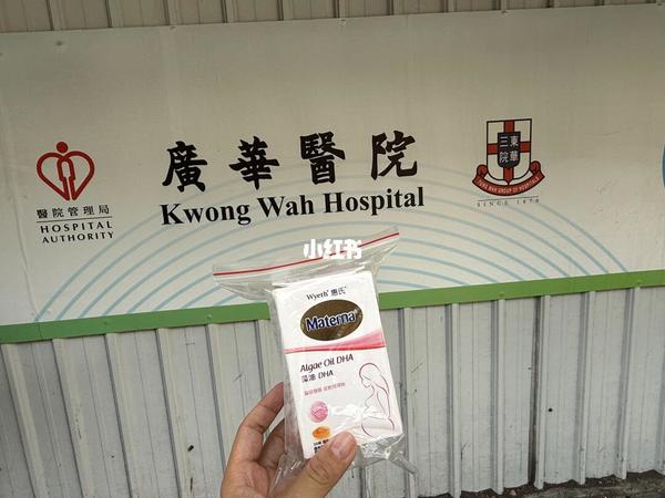 香港公立产检记|dha分享