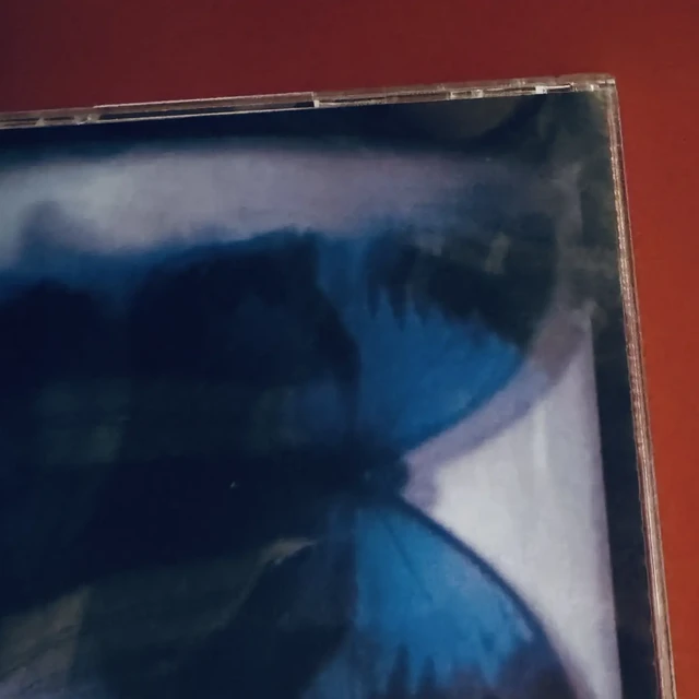 岩井俊二导演《燕尾蝶》原声Montage.YEN TOWN BAND
存在于平行时空的虚构乐队，
虽然电影是反乌托邦大梦一场，
Glico在车上弹着废旧的钢琴，那就是乌托邦。

现实女歌手Chara扮