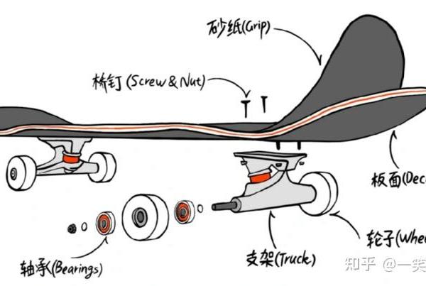 初学滑板买什么板？2025年入门级滑板品牌推荐：含新手选购指南+双翘板/鱼板/长板/陆冲板推荐