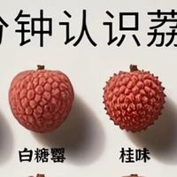 荔枝版「选妃现场」！这么多品种，你翻谁牌子