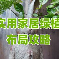 最新优惠