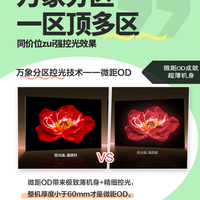 白天想要沉浸式看剧？T6L Pro轻松实现！