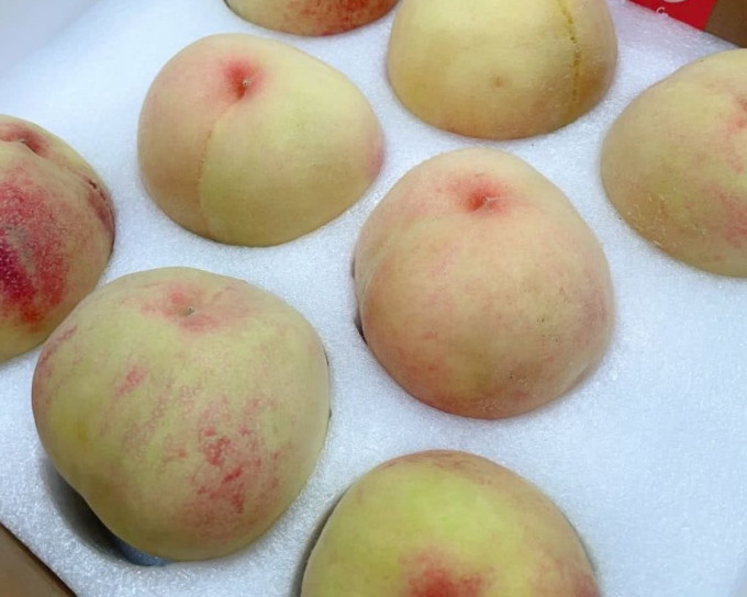 阳山其他水果