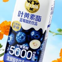 每天一瓶的"护眼早餐":轻上蓝莓酸奶成了我盯屏幕的底气