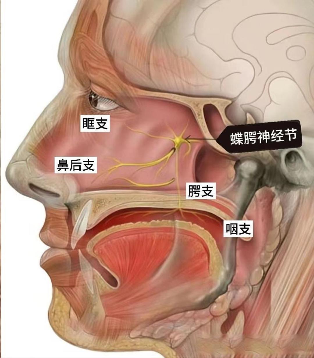 零下86℃霜杯里的魔药术：从街边红糖冰到分子咖啡的冰饮进化论