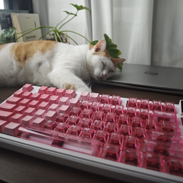 你能想象，猛男在用黑爵MK87粉雾海，是多么有趣的风景线