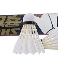  新手羽毛球选购指南