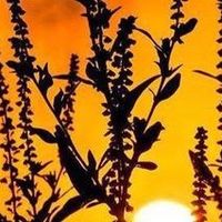李宁篮球：手感与实战的极致融合