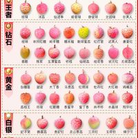 53种荔枝口感排名揭晓