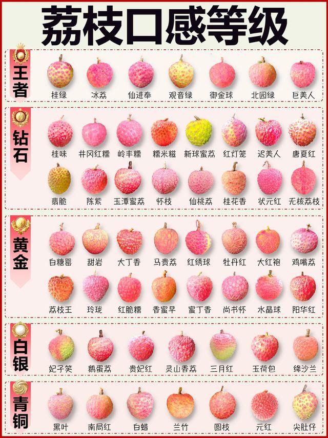 53种荔枝口感排名揭晓