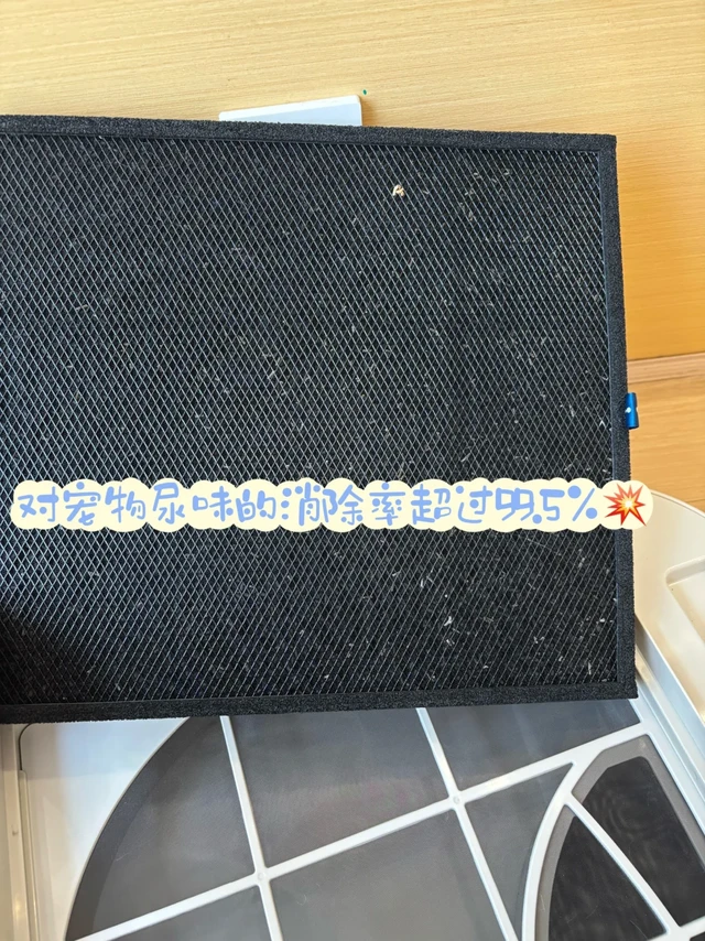 Blueair 宠物空气净化器，臭味真的被吃掉了