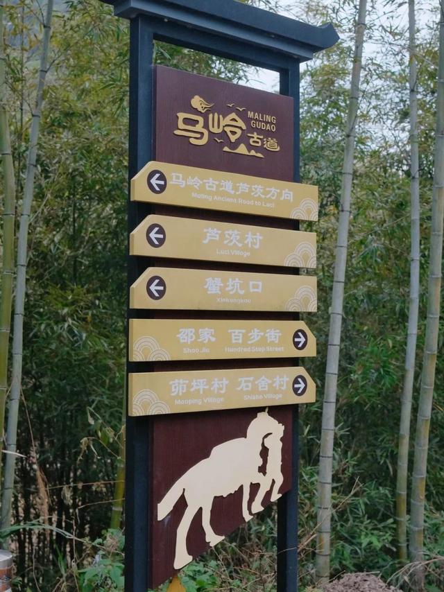 杭州出发自驾指南！1-3小时车程私藏目的地