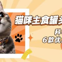 猫咪主食罐头怎么选？科学喂养攻略+6款优质罐罐推荐，铲屎官必看