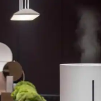 加湿器怎么选？7款宝藏品牌大放送，解锁加湿新招