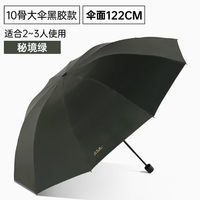 天堂伞全钢十骨三人折叠黑胶晴雨伞：晴雨无忧的出行伴侣