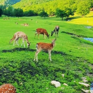 黑龙江的夏日清凉旅游攻略 ，我们都需要