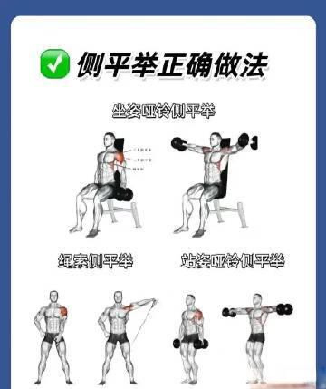 男性溜肩科学矫正全攻略:阶梯式增肌训练+体态联动,实现4-6cm肩宽重塑