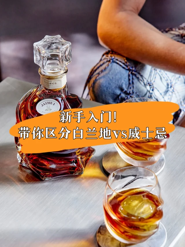 新手入门！👍🏻带你区分白兰地vs威士忌