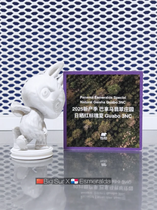 豆纪🪻这也是妥妥的“科技豆”