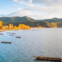 洗衣轻松，妈妈笑开颜？