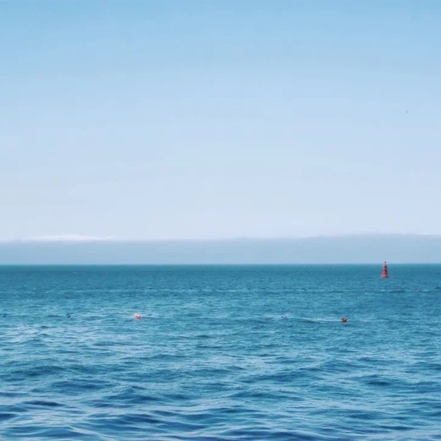 这座海滨城市，美到犯规！