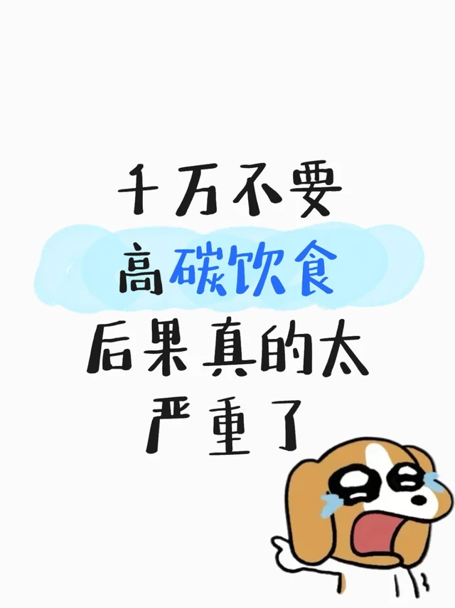 高碳饮食+肥胖的自救之路