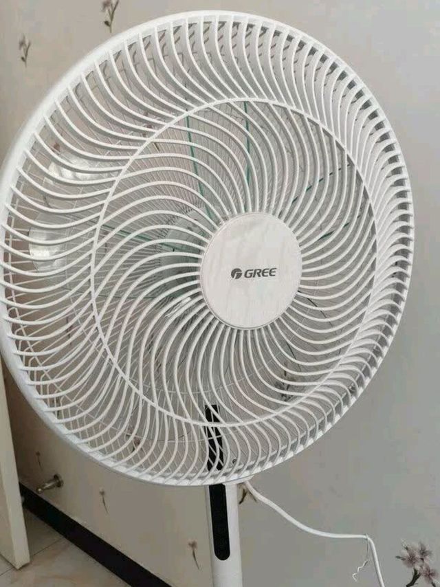 格力(GREE)电风扇家用节能落地扇学生